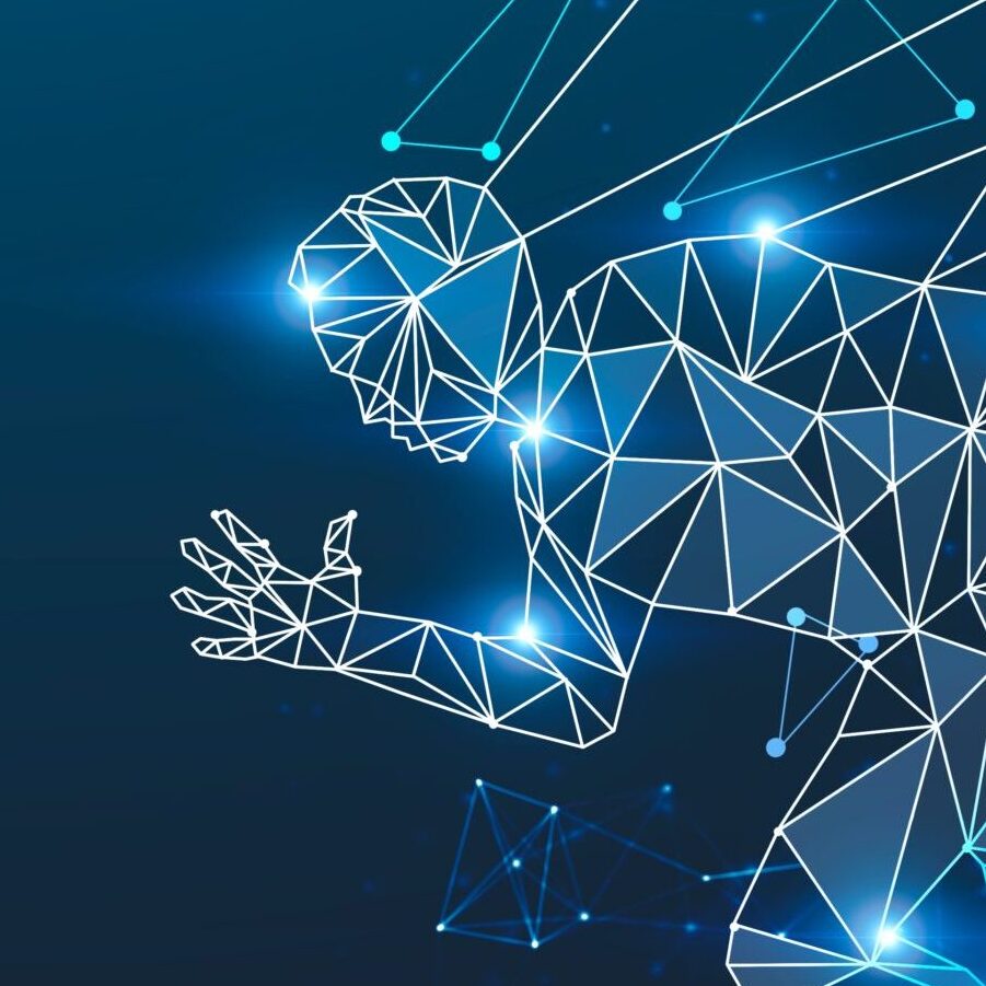 Sport Digital Transformation & NFT BlockChain